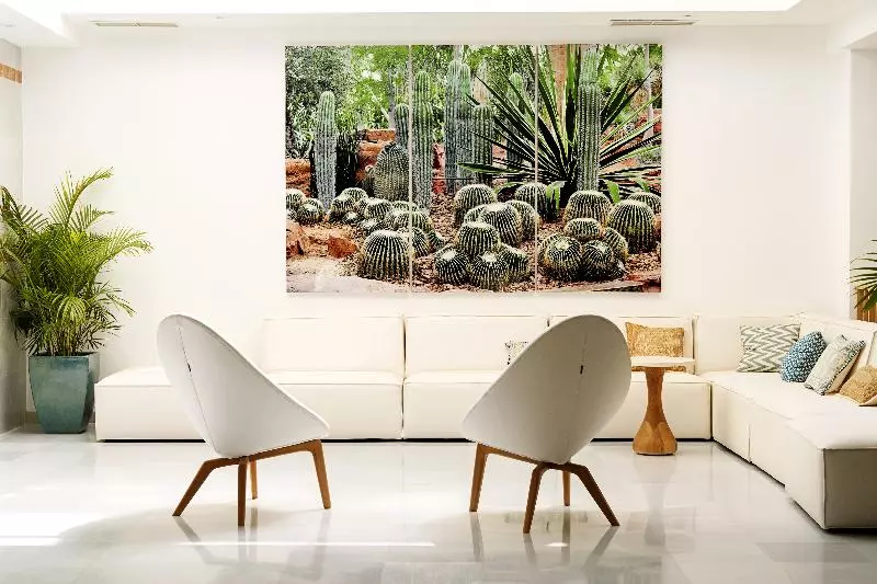 Fotos del hotel Buganvilla  & Spa:  2