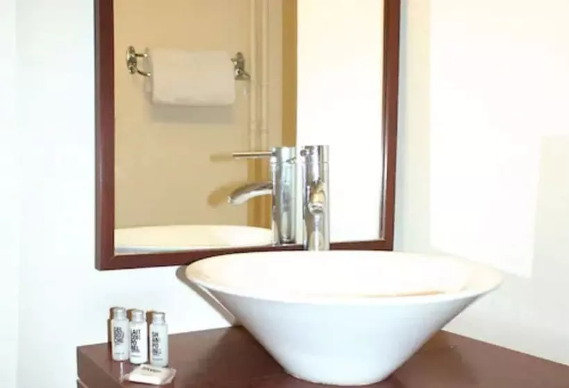 Fotos del hotel Newhotel Opéra:  14