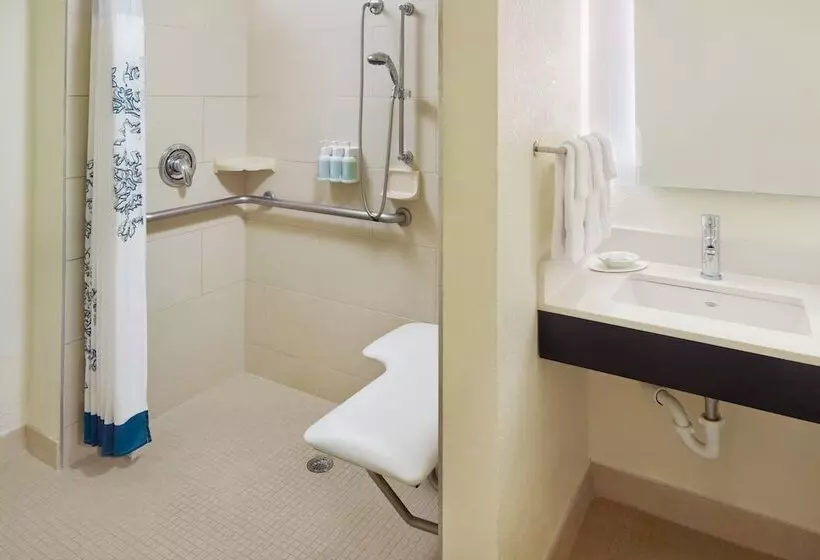 Fotos del hotel Residence Inn By Marriott Orlando At Seaworld:  23