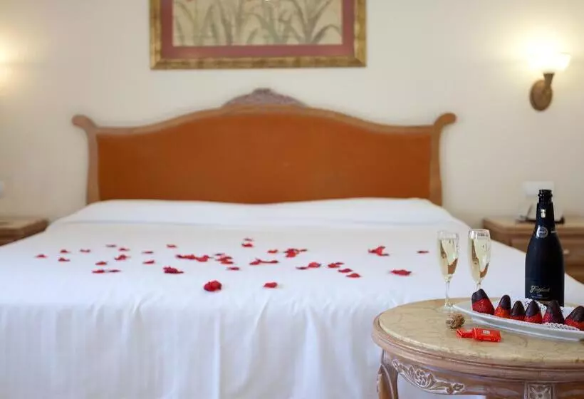 Fotos del hotel Gran  Benahavis Spa:  10