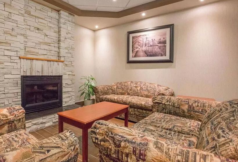 Fotos del hotel Comfort Inn & Suites University:  25