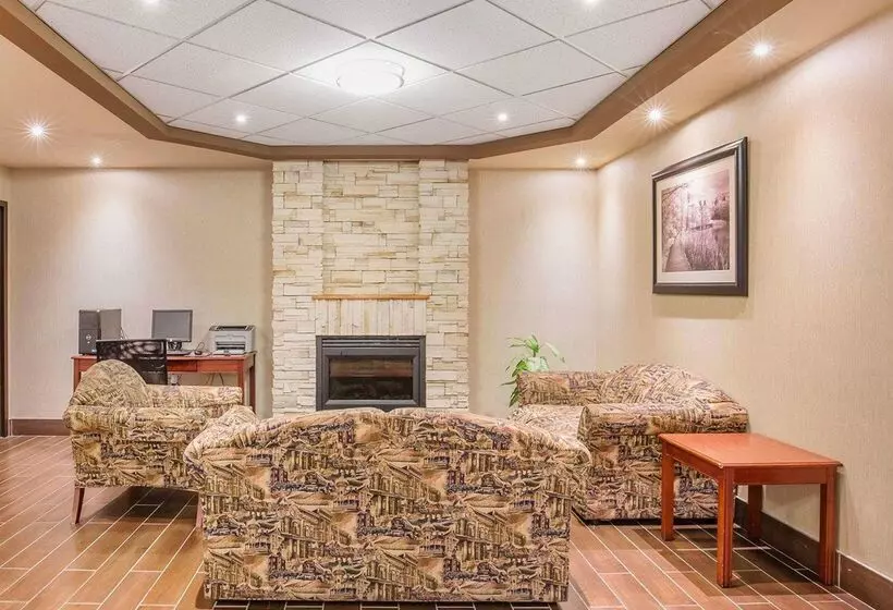 Fotos del hotel Comfort Inn & Suites University:  4