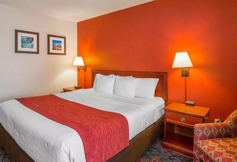 Fotos del hotel Comfort Inn & Suites University:  15