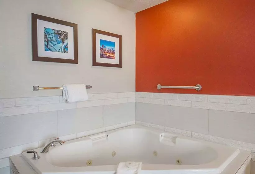 Fotos del hotel Comfort Inn & Suites University:  5