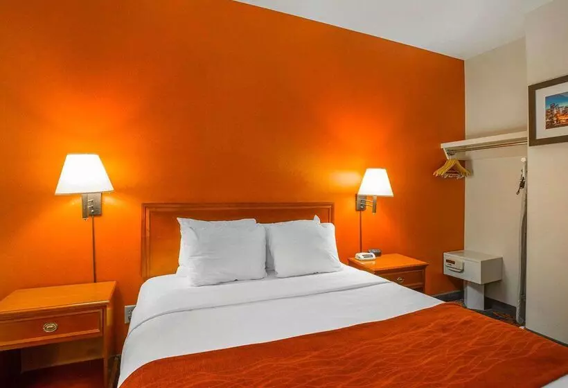 Fotos del hotel Comfort Inn & Suites University:  17