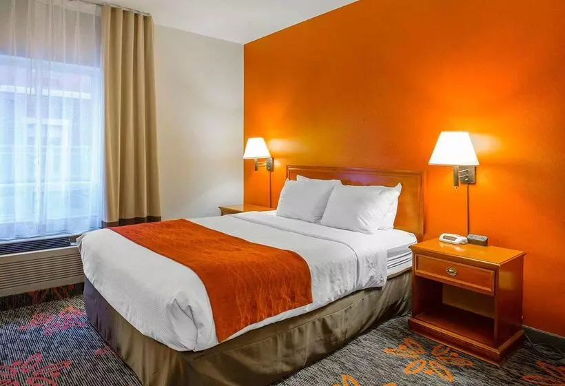 Fotos del hotel Comfort Inn & Suites University:  19