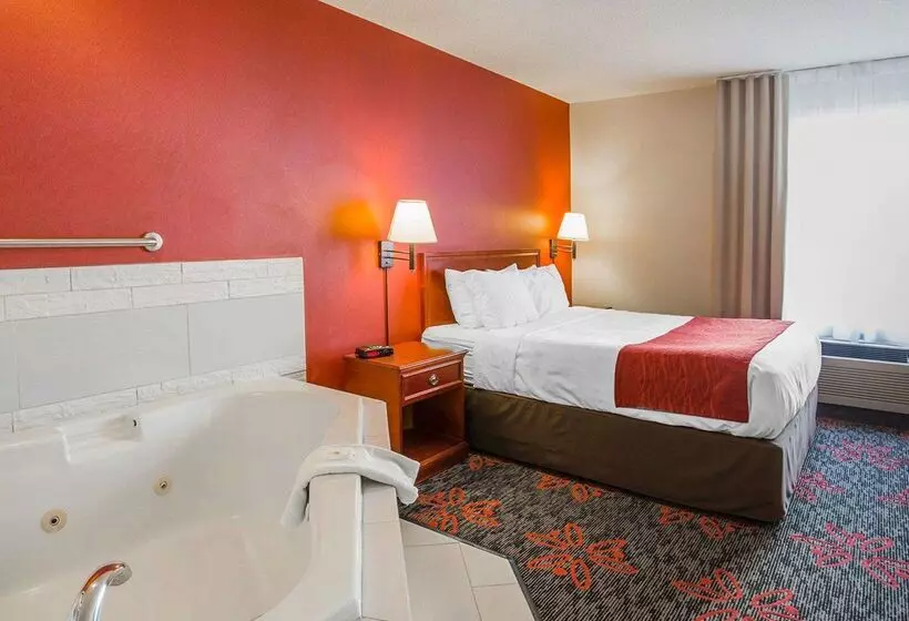 Fotos del hotel Comfort Inn & Suites University:  20