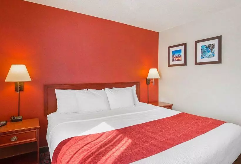 Fotos del hotel Comfort Inn & Suites University:  12