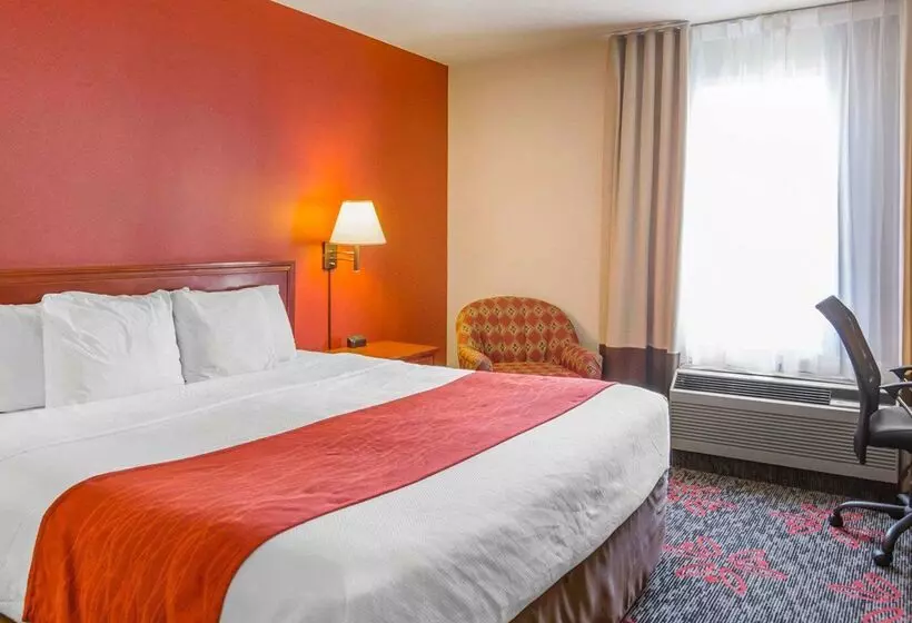 Fotos del hotel Comfort Inn & Suites University:  21