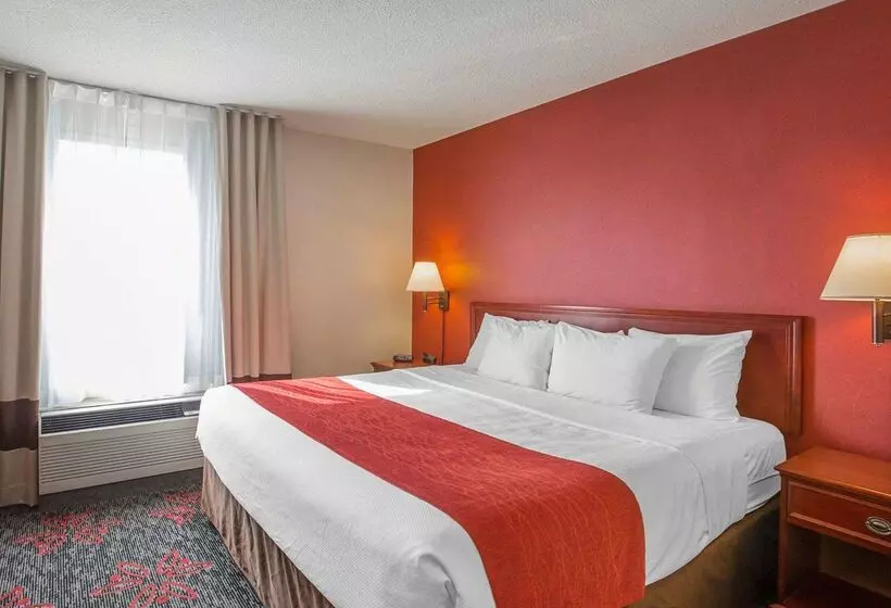 Fotos del hotel Comfort Inn & Suites University:  7