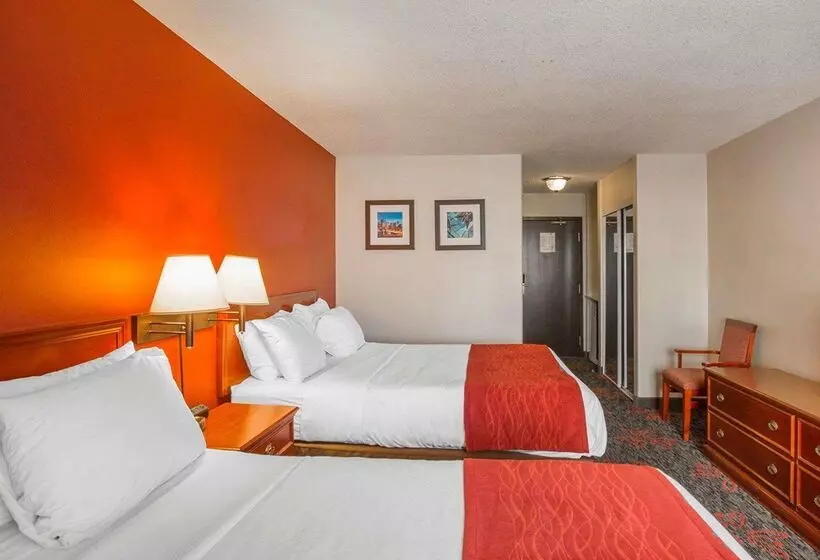 Fotos del hotel Comfort Inn & Suites University:  22