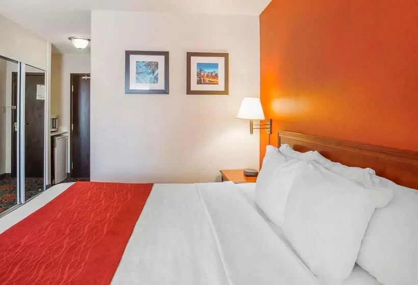 Fotos del hotel Comfort Inn & Suites University:  2