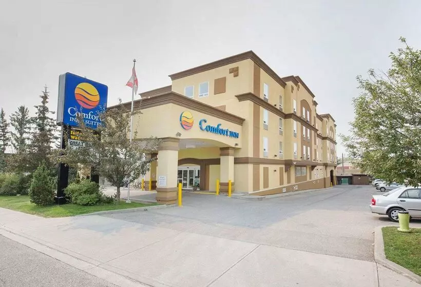 Fotos del hotel Comfort Inn & Suites University:  6