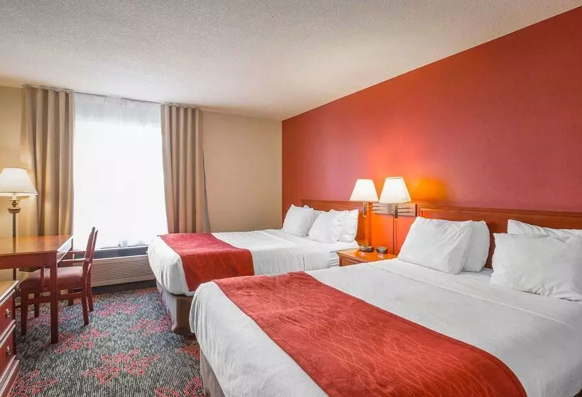 Fotos del hotel Comfort Inn & Suites University:  23