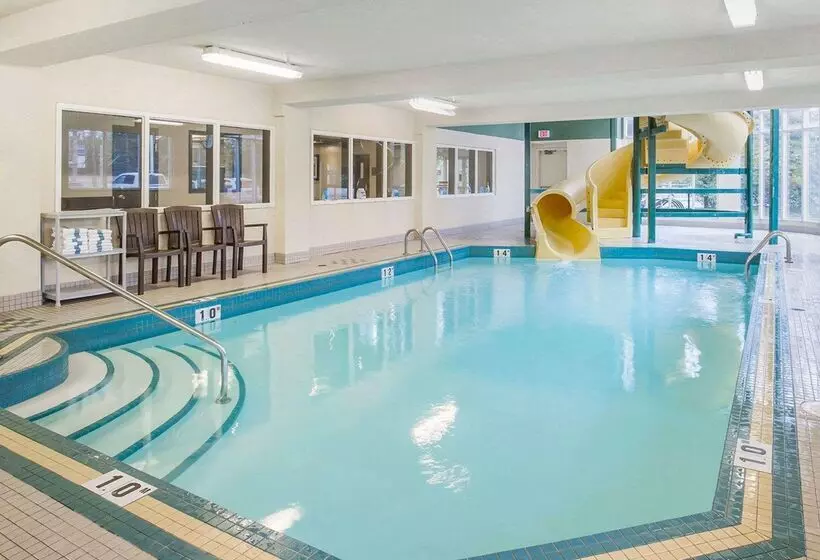 Fotos del hotel Comfort Inn & Suites University:  13