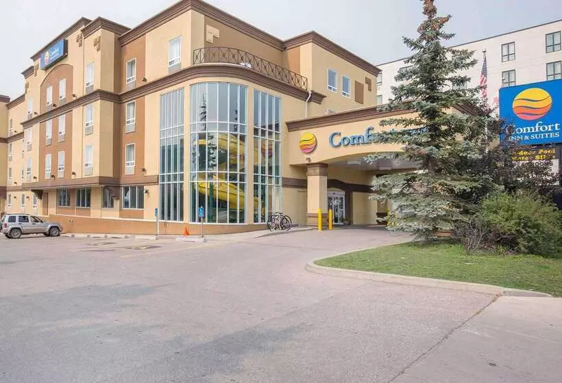 Fotos del hotel Comfort Inn & Suites University:  11