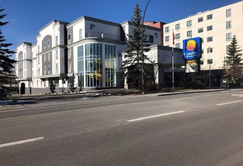 Comfort Inn & Suites University