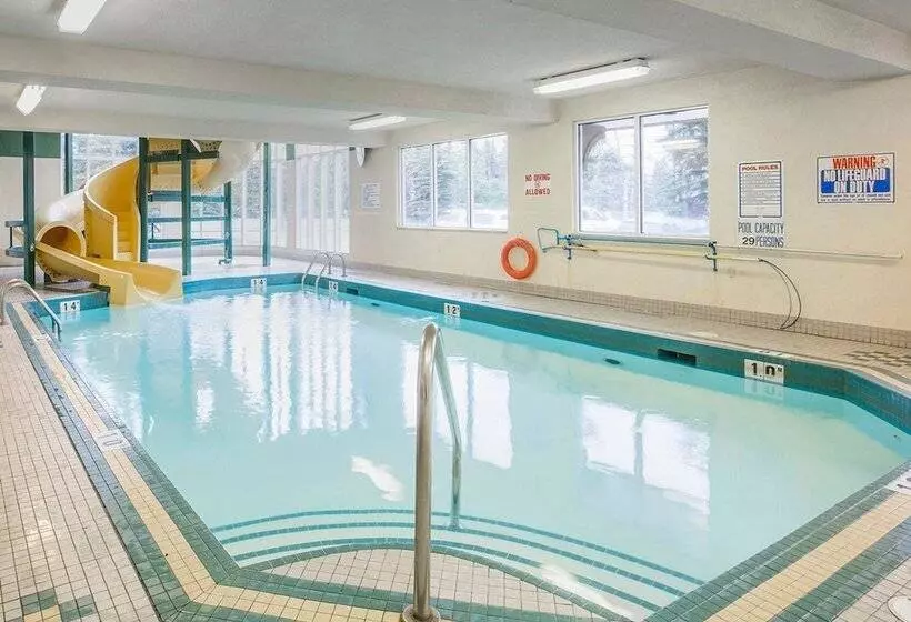 Fotos del hotel Comfort Inn & Suites University:  8