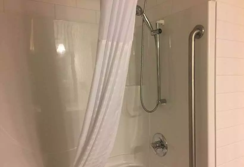 Fotos del hotel Comfort Inn & Suites University:  10