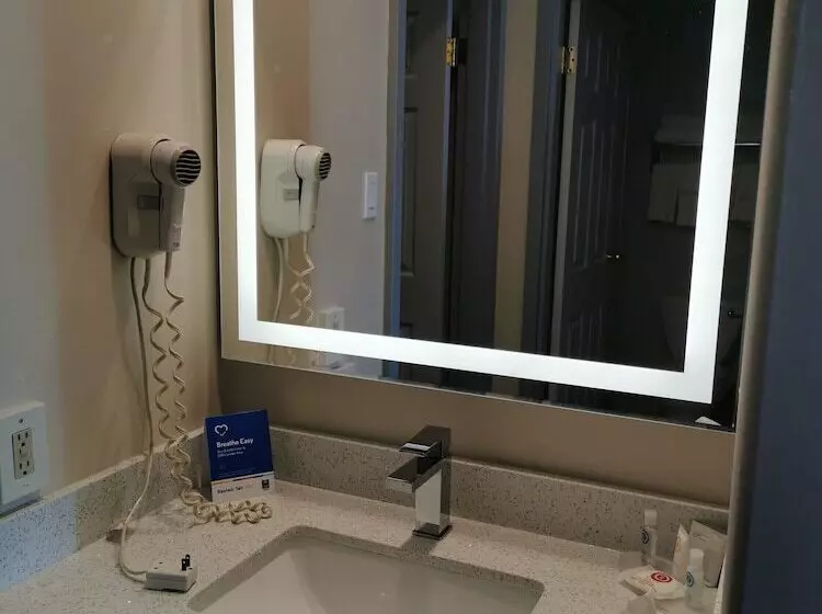 Fotos del hotel Comfort Inn & Suites University:  18