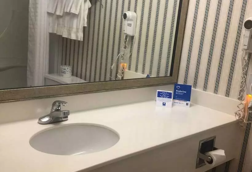 Fotos del hotel Comfort Inn & Suites University:  14