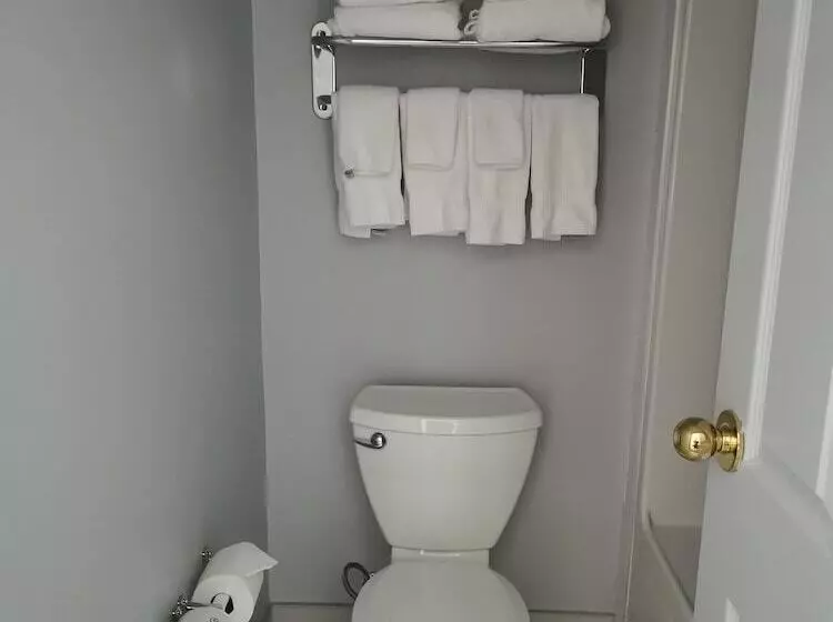 Fotos del hotel Comfort Inn & Suites University:  16