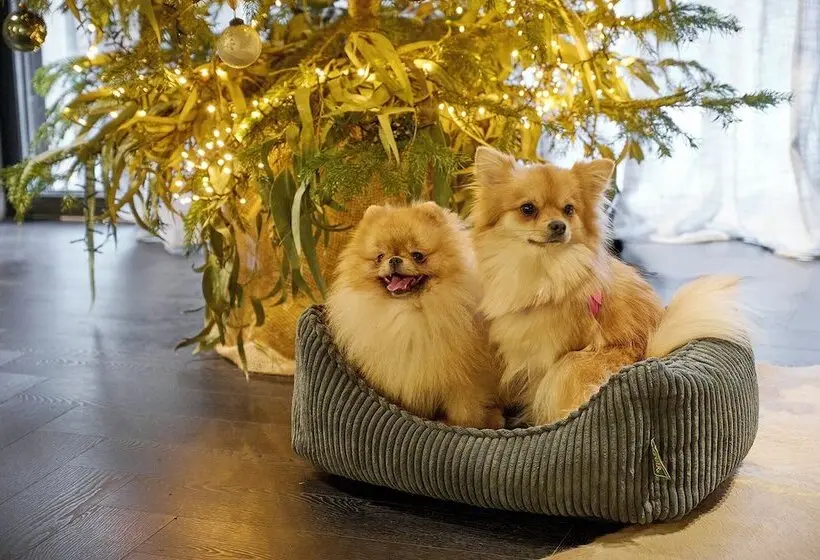 Fotos del hotel Eurostars Andorra:  22