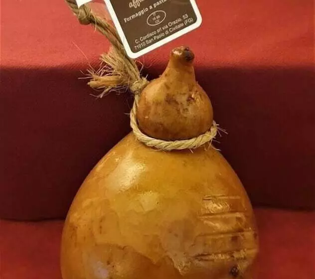 Fotos del hotel Chelsea:  12