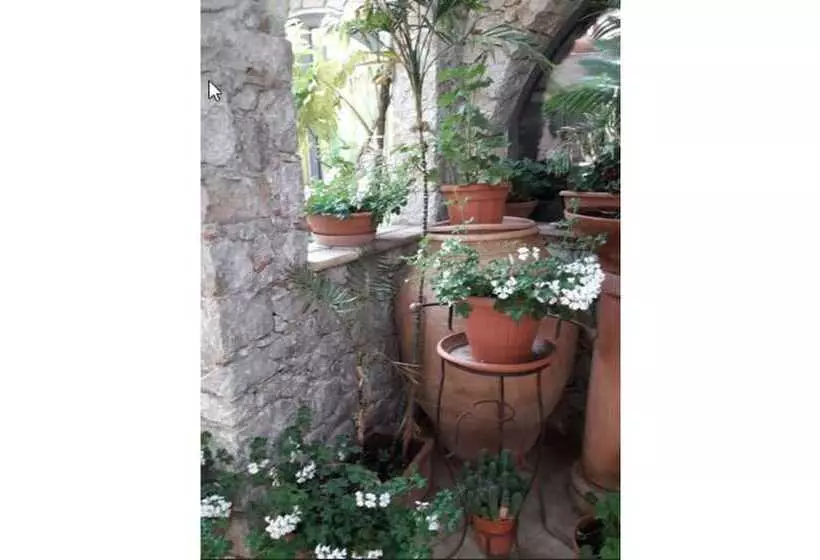 Fotos del hotel Andromaco Palace:  11