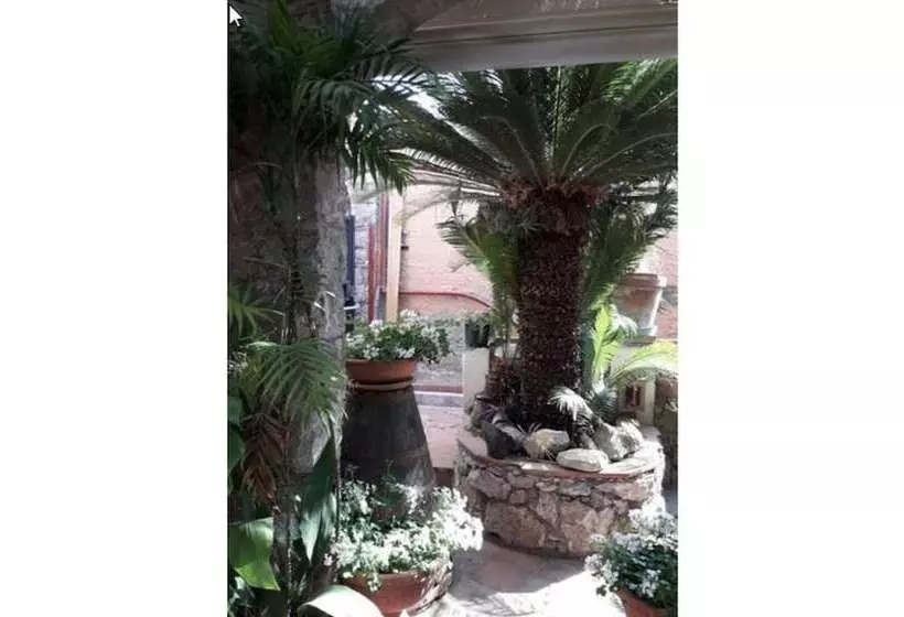 Fotos del hotel Andromaco Palace:  14