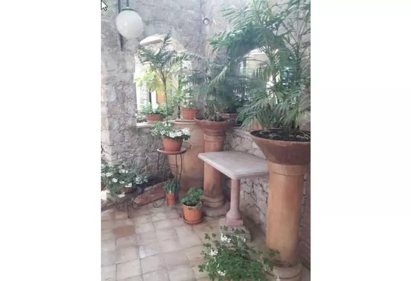 Fotos del hotel Andromaco Palace:  3