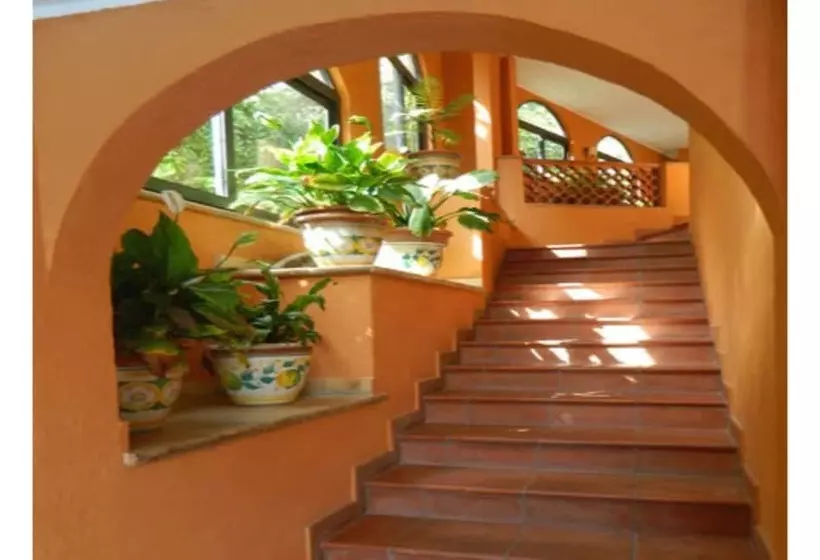 Fotos del hotel Andromaco Palace:  12