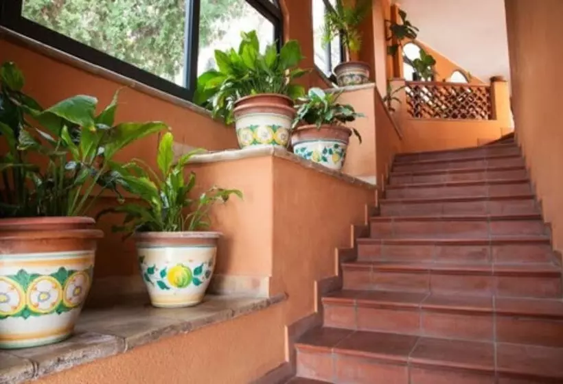 Fotos del hotel Andromaco Palace:  10