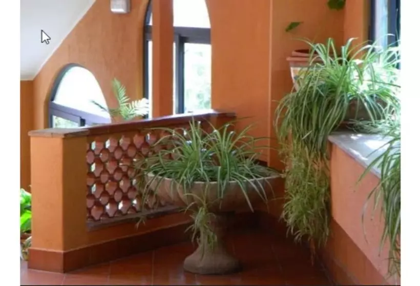 Fotos del hotel Andromaco Palace:  6