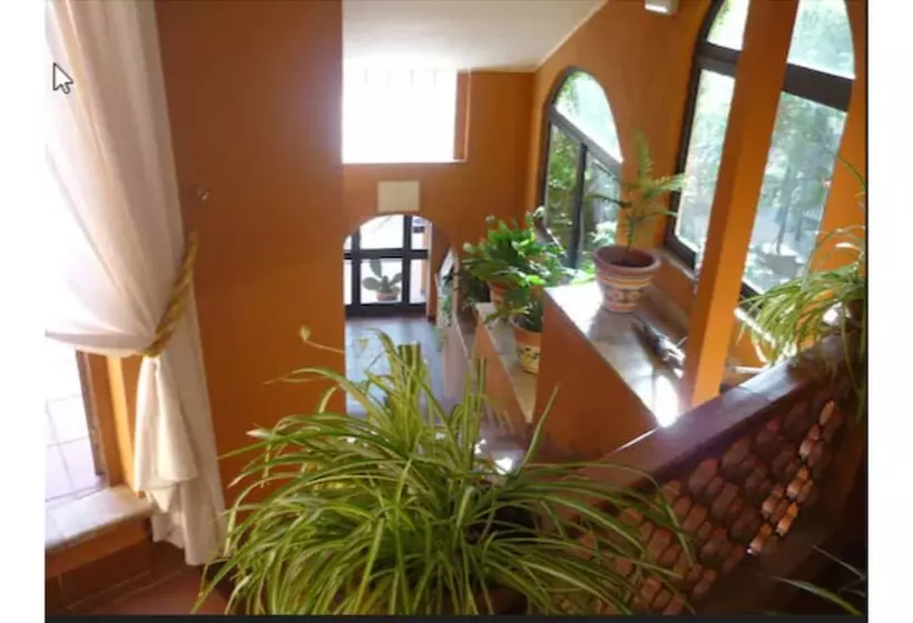 Fotos del hotel Andromaco Palace:  9