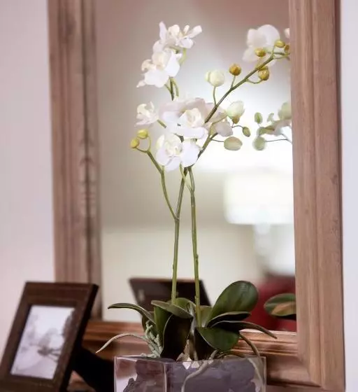 Fotos del hotel Hacienda Montenmedio:  13