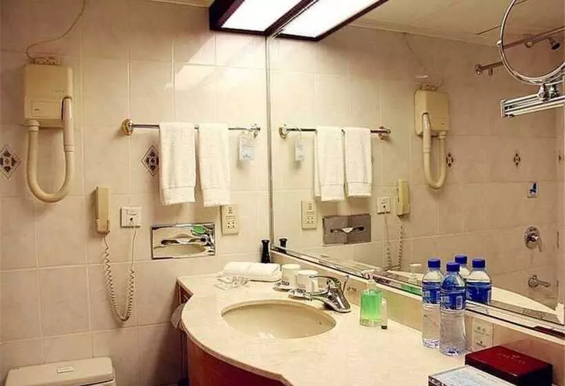 Fotos del hotel Dolton International Hotel Changsha:  15