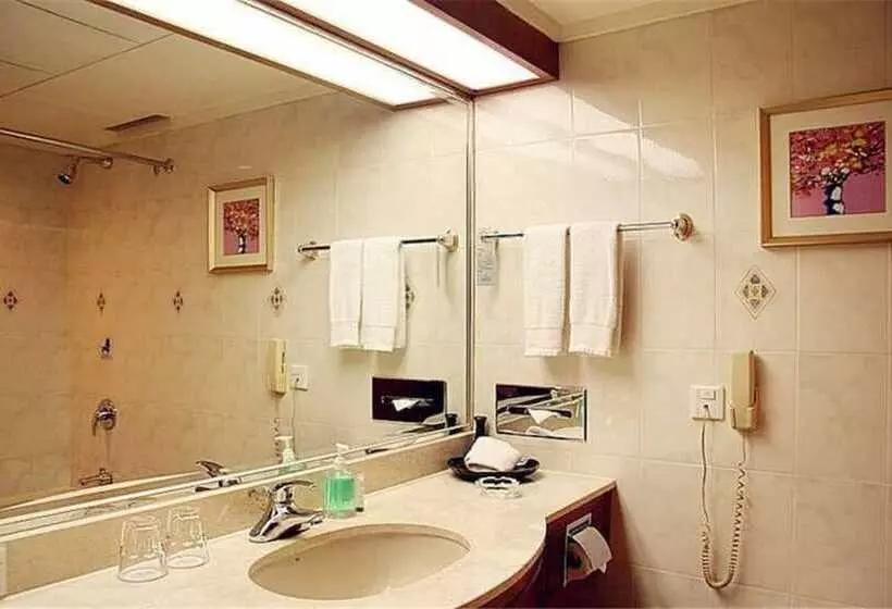 Fotos del hotel Dolton International Hotel Changsha:  12