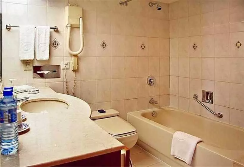 Fotos del hotel Dolton International Hotel Changsha:  7