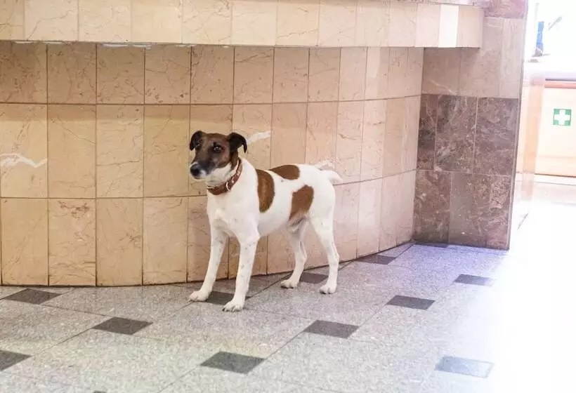 Fotos del hotel Aranguês:  7