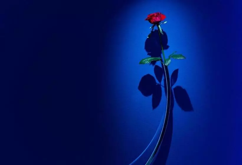 Fotos del hotel Il Palazzo:  7