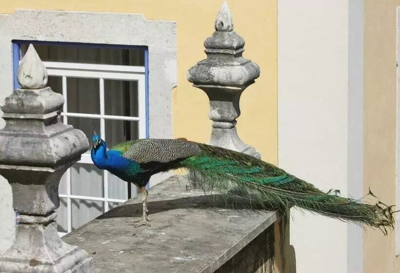 Fotos del hotel Solar Do Castelo, A Lisbon Heritage Collection:  5