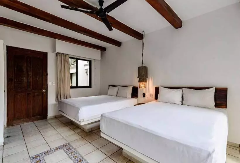 Fotos del hotel Banana Boutique:  22