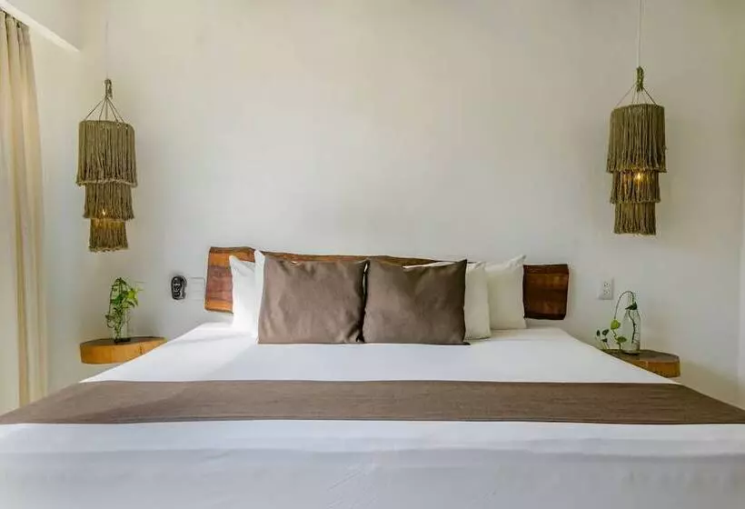 Fotos del hotel Banana Boutique:  2