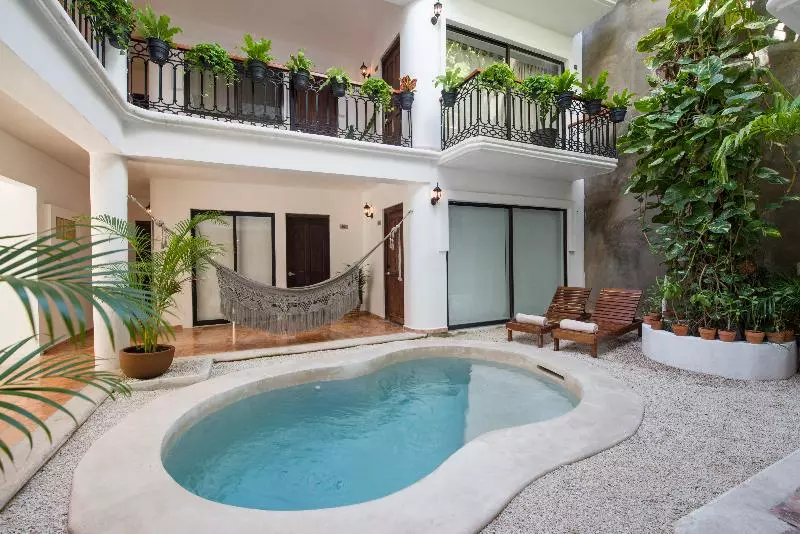 Fotos del hotel Banana Boutique:  3