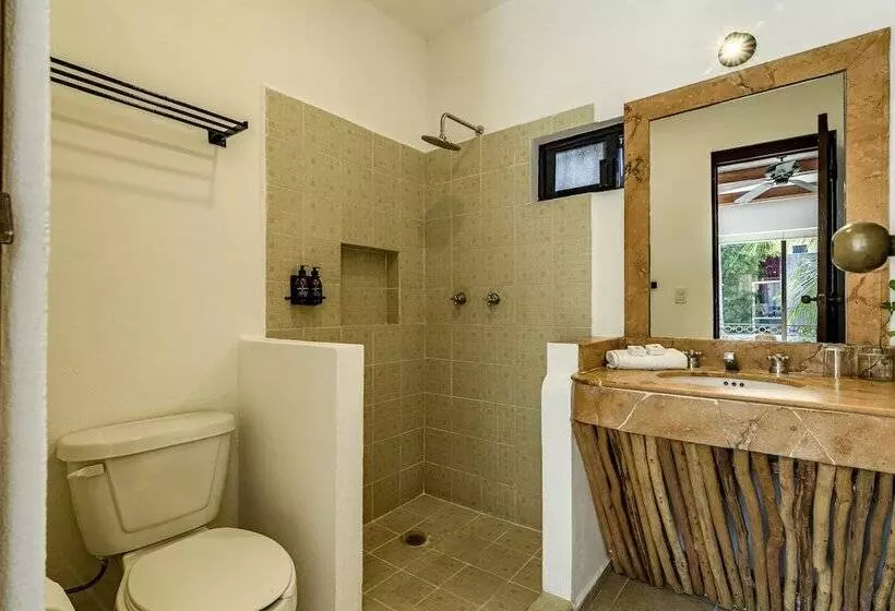 Fotos del hotel Banana Boutique:  14