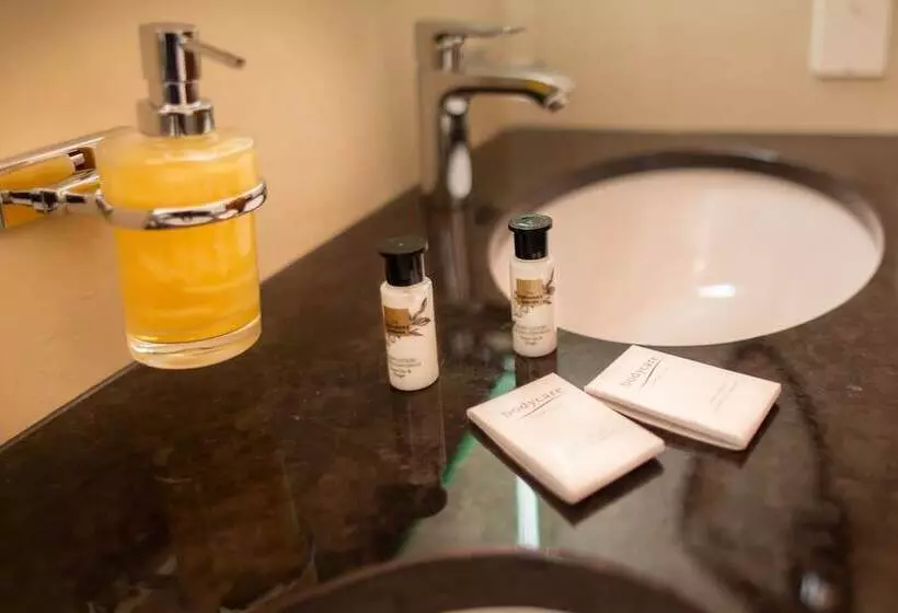 Fotos del hotel The Christiania Mountain Spa Resort:  8