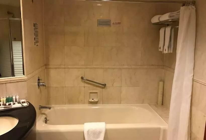 Fotos del hotel King Wing:  23