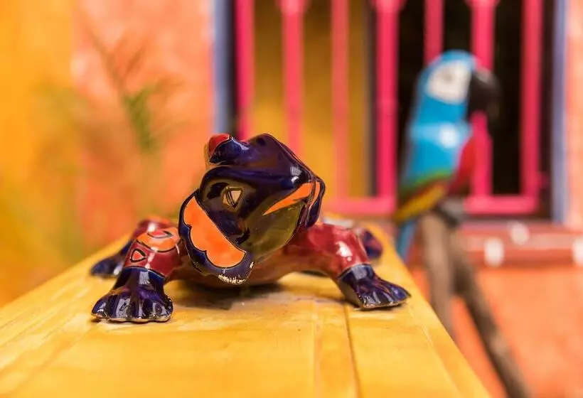 Fotos del hotel Hacienda Maria Bonita:  11