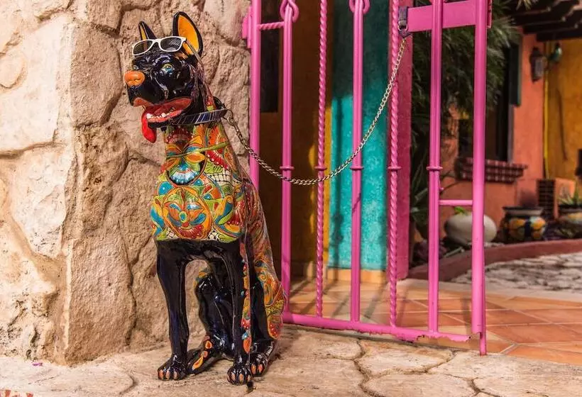 Fotos del hotel Hacienda Maria Bonita:  13